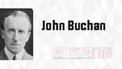 Otuz Dokuz Basamak - John Buchan Kitap özeti, konusu ve incelemesi