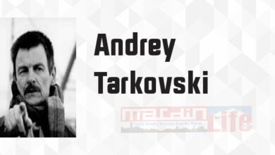Şiirsel Sinema - Andrey Tarkovski Kitap özeti, konusu ve incelemesi