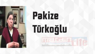 Tonguç ve Enstitüleri - Pakize Türkoğlu Kitap özeti, konusu ve incelemesi