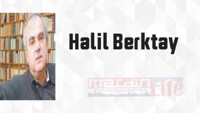 Türkiye Tarihi 1 - Halil Berktay Kitap özeti, konusu ve incelemesi