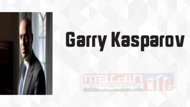 Zirveye Çıkan Yol - Garry Kasparov Kitap özeti, konusu ve incelemesi
