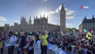 İngiltere'de çevrecilerden fosil yakıt ve hayvan hakları protestosu