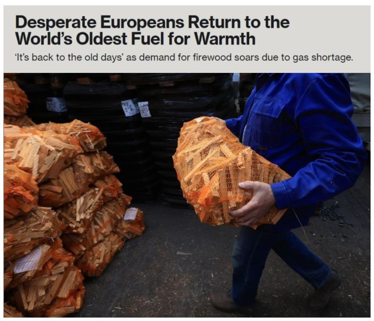 Bloomberg: Çaresiz Avrupalılar, dünyanın en eski yakıtına geri döndü #4