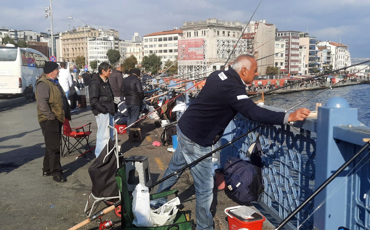 Marmara Denizi nde  istilacı tür  tehlikesi: Biyoçeşitlilik tehdit altında #3