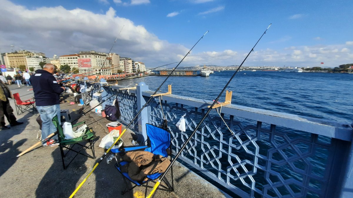 Marmara Denizi nde  istilacı tür  tehlikesi: Biyoçeşitlilik tehdit altında #6
