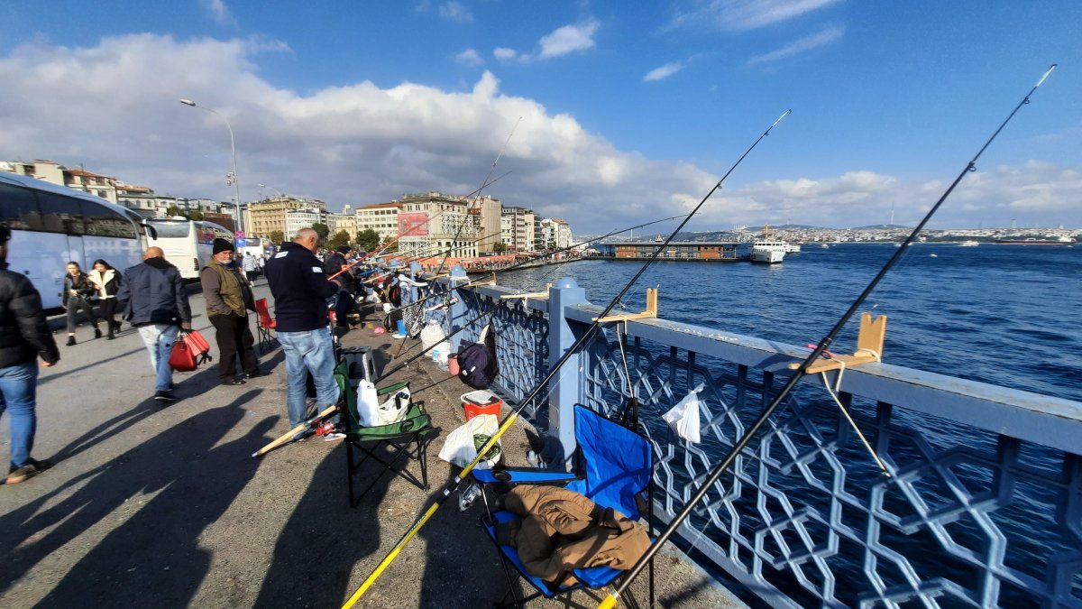 Marmara Denizi nde  istilacı tür  tehlikesi: Biyoçeşitlilik tehdit altında #4