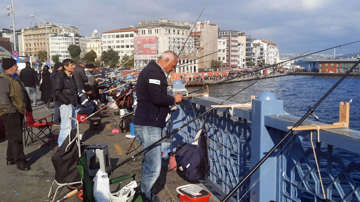Marmara Denizi nde  istilacı tür  tehlikesi: Biyoçeşitlilik tehdit altında #5