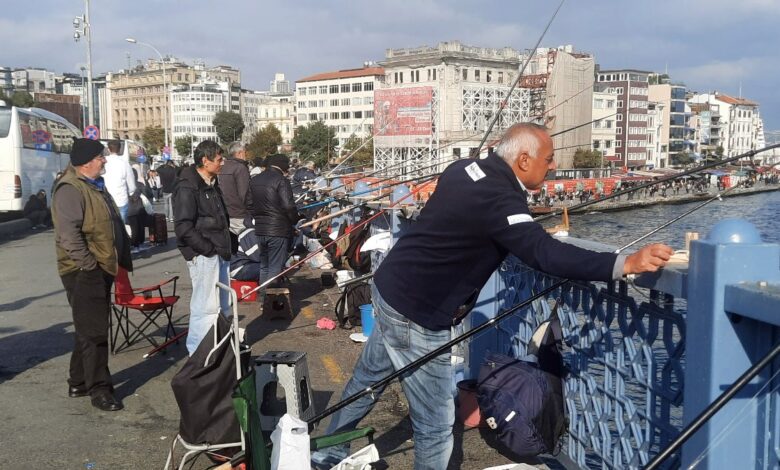 Marmara Denizi'nde 'istilacı tür' tehlikesi: Biyoçeşitlilik tehdit altında