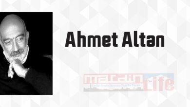 Ahmet Altan - Aldatmak Kitap özeti, konusu ve incelemesi