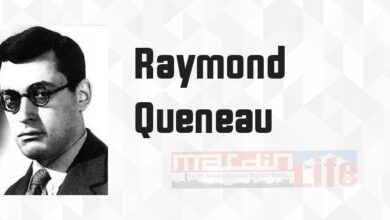 Biçem Alıştırmaları - Raymond Queneau Kitap özeti, konusu ve incelemesi