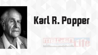 Bitmeyen Arayış - Karl R. Popper Kitap özeti, konusu ve incelemesi