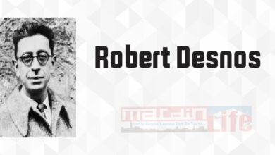 Bütün Şiirlerinden Seçmeler - Robert Desnos Kitap özeti, konusu ve incelemesi