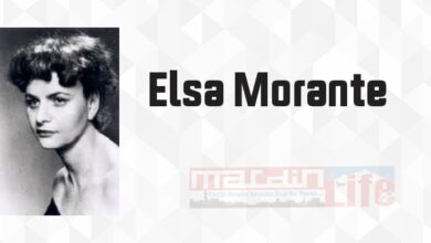 Endülüs Şalı - Elsa Morante Kitap özeti, konusu ve incelemesi