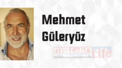 Etkili Öğrenme - Mehmet Güleryüz Kitap özeti, konusu ve incelemesi