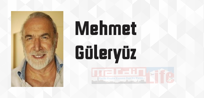 Etkili Öğrenme - Mehmet Güleryüz Kitap özeti, konusu ve incelemesi