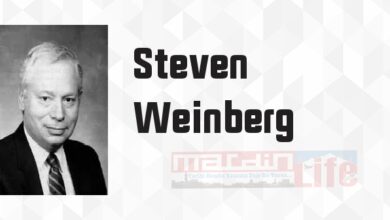 İlk Üç Dakika - Steven Weinberg Kitap özeti, konusu ve incelemesi