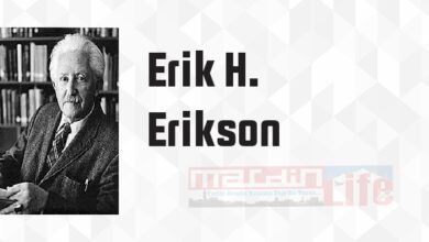 İnsanın 8 Evresi - Erik H. Erikson Kitap özeti, konusu ve incelemesi
