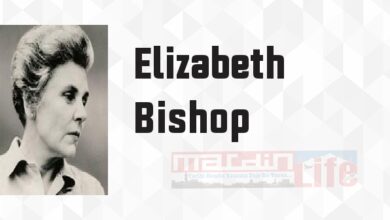 Soğuk Bir Bahar - Elizabeth Bishop Kitap özeti, konusu ve incelemesi
