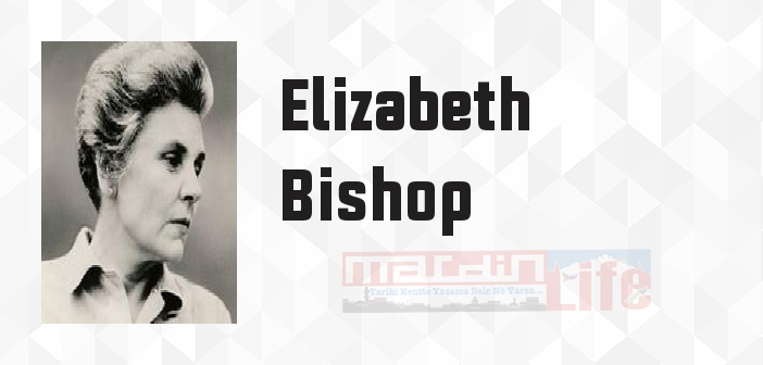 Soğuk Bir Bahar - Elizabeth Bishop Kitap özeti, konusu ve incelemesi