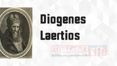 Ünlü Filozofların Yaşamları ve Öğretileri - Diogenes Laertios Kitap özeti, konusu ve incelemesi