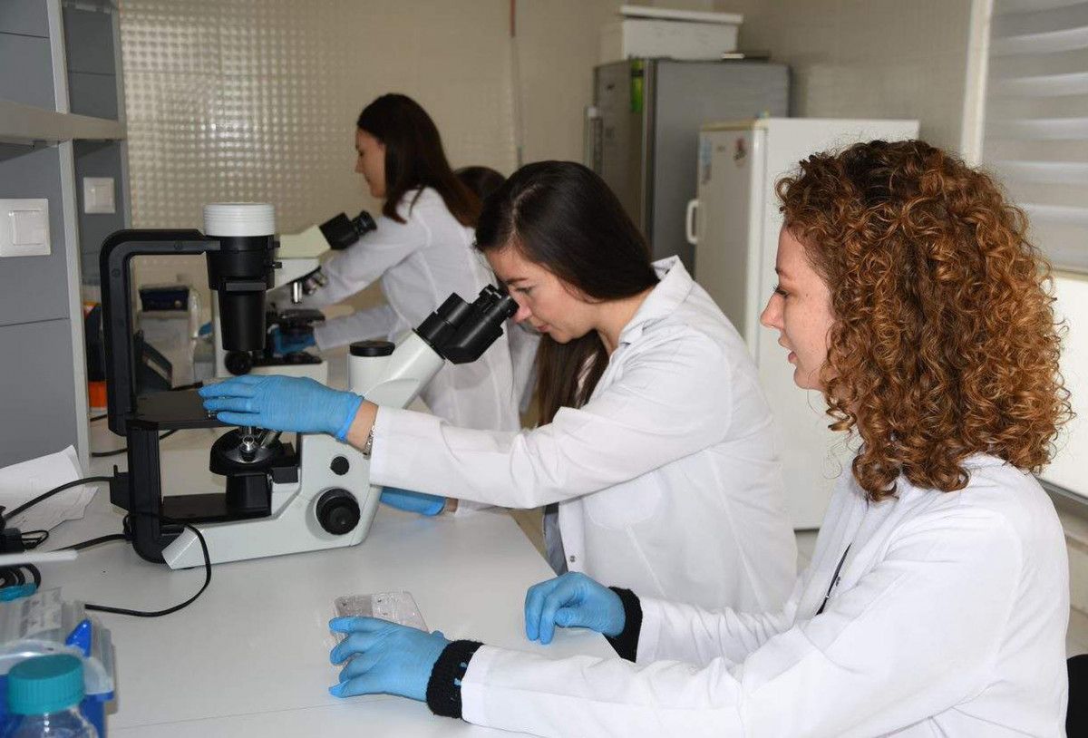Türkiye de kanser aşısı çalışmalarında hayvan deneylerine geçiliyor #6