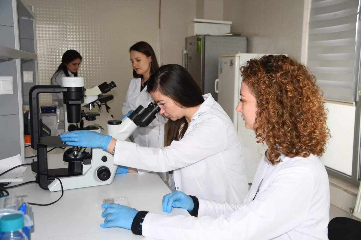 Türkiye de kanser aşısı çalışmalarında hayvan deneylerine geçiliyor #7