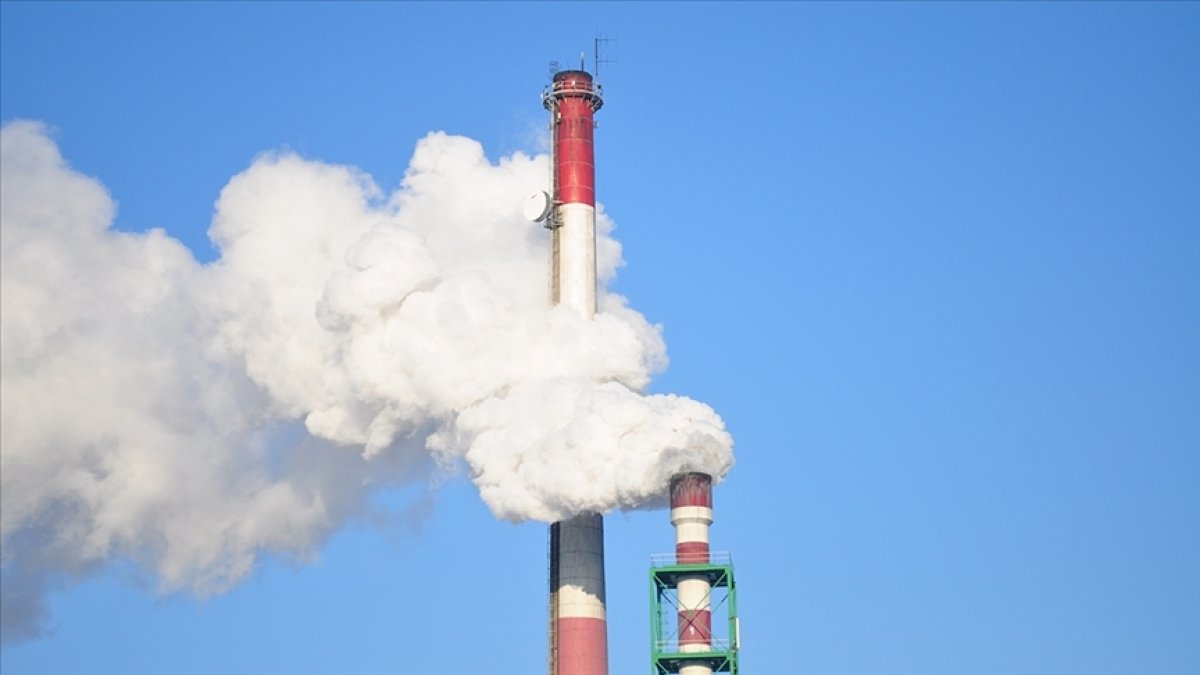 Uzmanlar 'yeşil aklamayı' önlemek için şeffaf sıfır emisyon planları talep ediyor #3