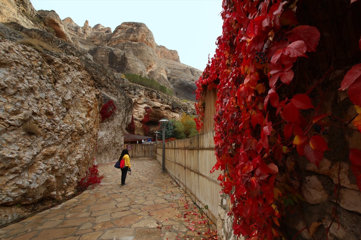 Malatya Tohma Kanyonu na sonbaharın renkleri hakim oldu #5