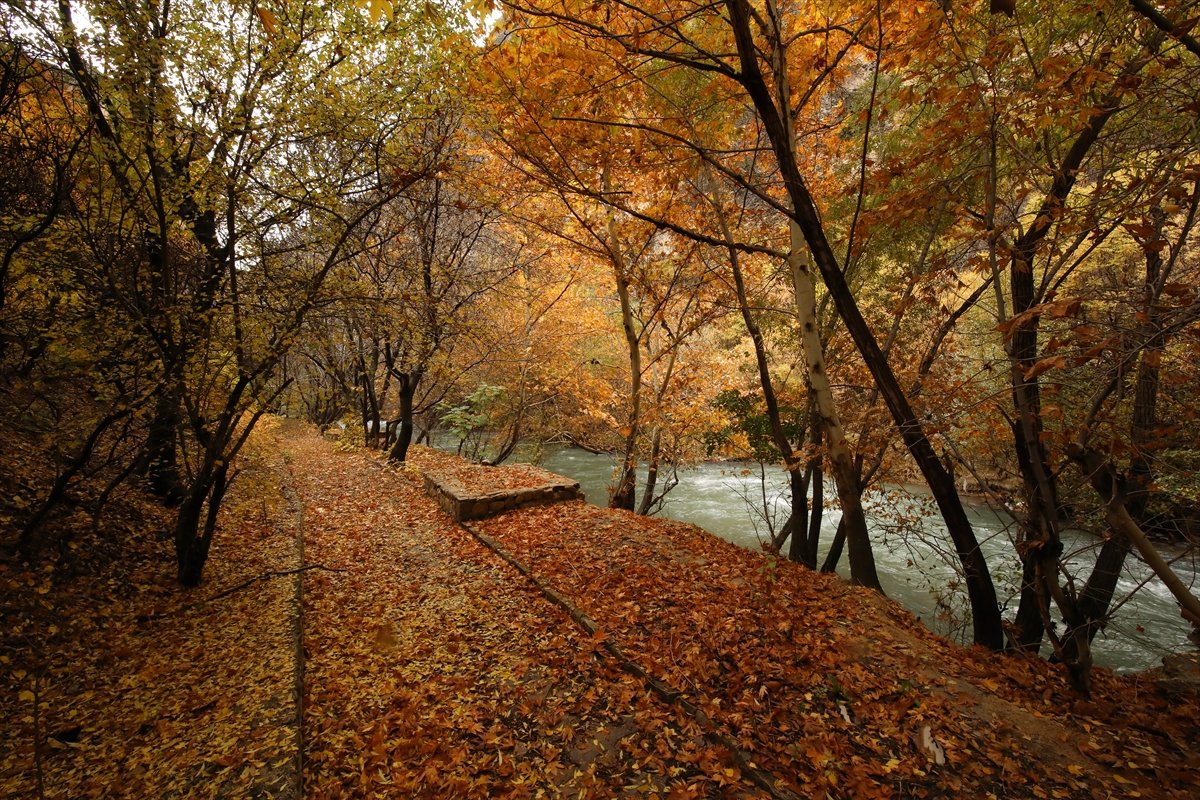 Malatya Tohma Kanyonu na sonbaharın renkleri hakim oldu #3