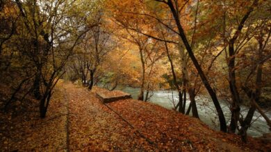 Malatya Tohma Kanyonu'na sonbaharın renkleri hakim oldu