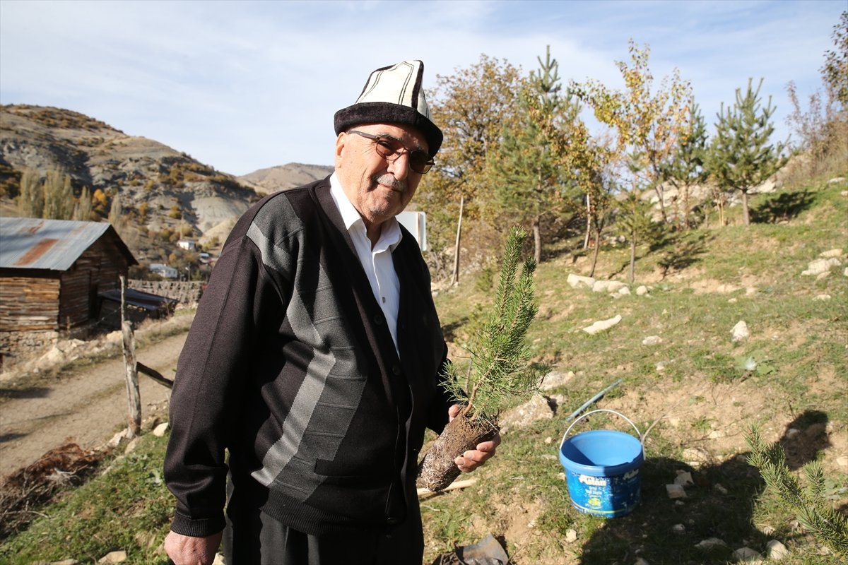 Giresunlu Cemal Emmi, 30 yıldır köyündeki atıl arazileri ağaçlandırıyor #4