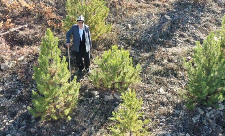 Giresunlu Cemal Emmi, 30 yıldır köyündeki atıl arazileri ağaçlandırıyor