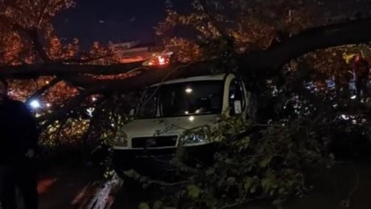 Bursa’da şiddetli lodos: Ağaçlar devrildi