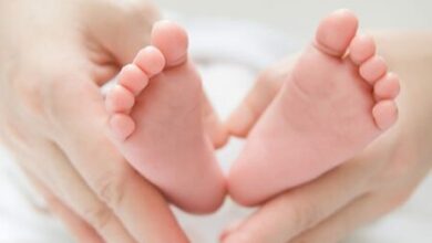 Devlet Hastanesi Tüp Bebek Fiyatları 2022 Tüp Bebek Fiyatları