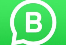 WhatsApp Business Apk