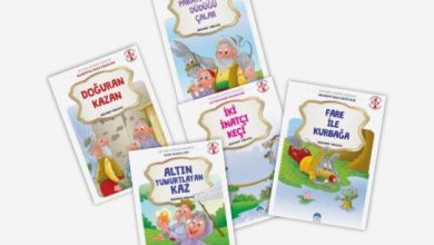 Bim Martı Çocuk 100 Temel Eserden Şeçmeler  Hikaye Kitapları Yorumları ve Özellikleri