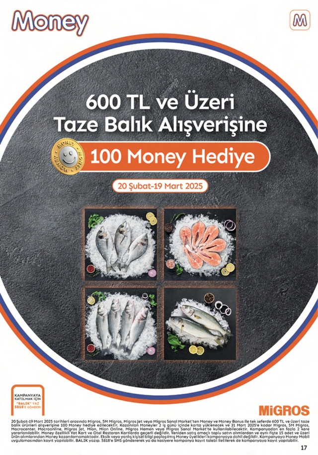 870-20-subat-5-mart-migroskop-web-pdf-638756423283428832-017