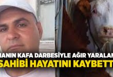 Dananın kafa darbesiyle ağır yaralanan sahibi hayatını kaybetti!