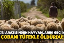 Ekili arazisinden hayvanlarını geçiren çobanı tüfekle öldürdü!