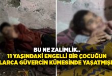 Bu ne zalimlik.. 11 yaşındaki engelli bir çocuğun yıllarca güvercin kümesinde yaşatmışlar!